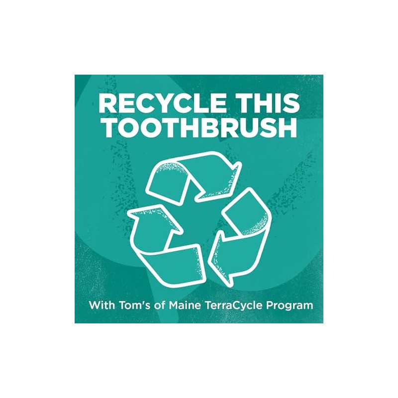 Tom's of Maine, Whole Care Toothbrush, Soft