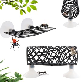 Plastic Jumping Spider Hideout Set with Suction Cup Climbing Accessories Climbing Toys for Jumping and Small Spiders