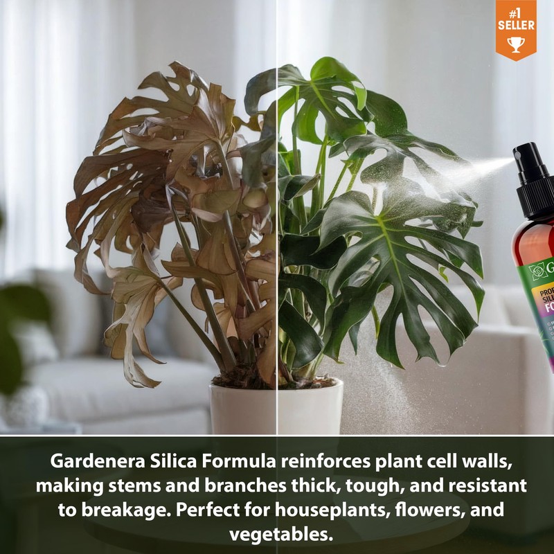 𝐏𝐑𝐎𝐅𝐄𝐒𝐒𝐈𝐎𝐍𝐀𝐋 Liquid Silica Plant Supplement - 32oz - OLIVE TREE