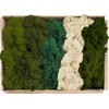 Prefleur Preserved Reindeer Mix Craft Moss Natural Green DIY Kit