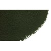 Spirulina Powder (2 lb)