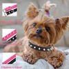 Dog Collar with Spikes,Rivet Dog Collar, Leather Spiked Studded Dog