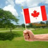 QQSD Canada Small Flag Canadian Stick Mini Hand Held Flags