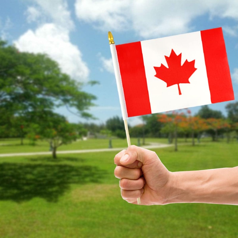 QQSD Canada Small Flag Canadian Stick Mini Hand Held Flags