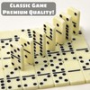 LERAO Dominoes Set for Adults,Dominos Set for Adults 28 Double