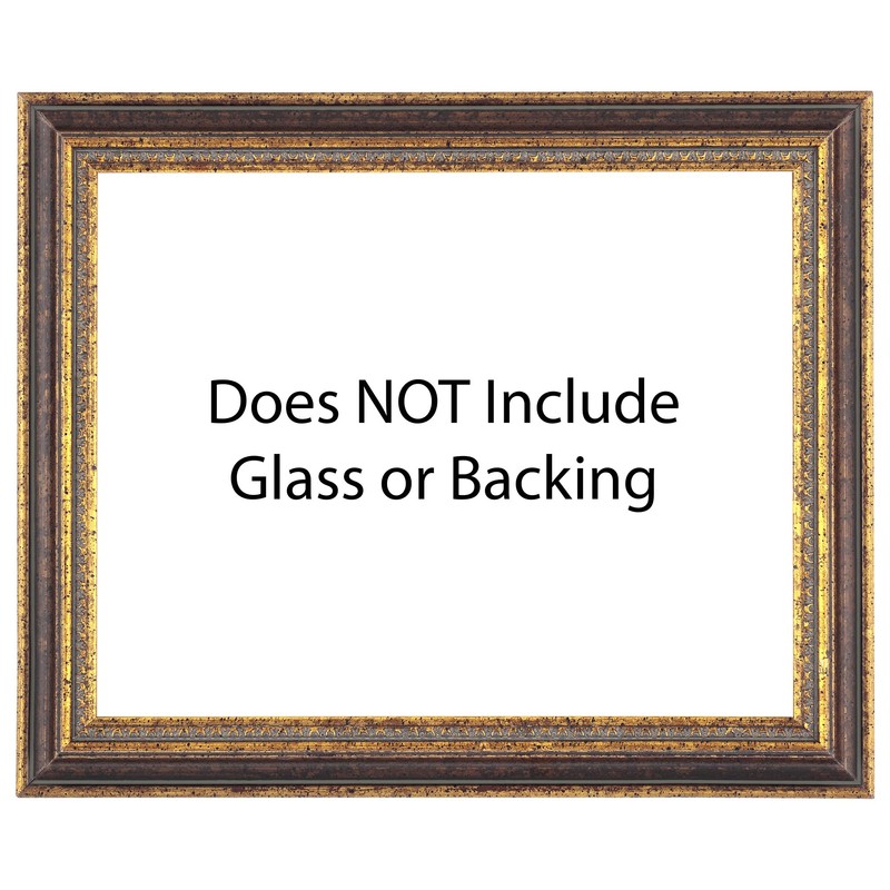 Imperial Frames Stratford Collection 9x12" Antique Bronze Neoclassical Wood Frame,
