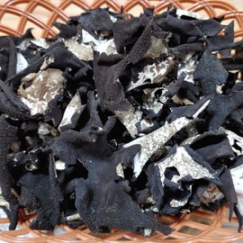 Jirisan Wild Stone Mushroom Dried Dried Domestic Natural Collection 50g / 지리산 야생 석이버섯 건조 건 국산 자연산 채취 50g