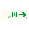 Eltai TPSN901 Medium Brightness Luminous Induction Sign (Certified Fire Fighting
