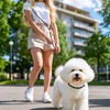 Wolfone Slip Lead Dog Leash - Heavy Duty Rope Leash