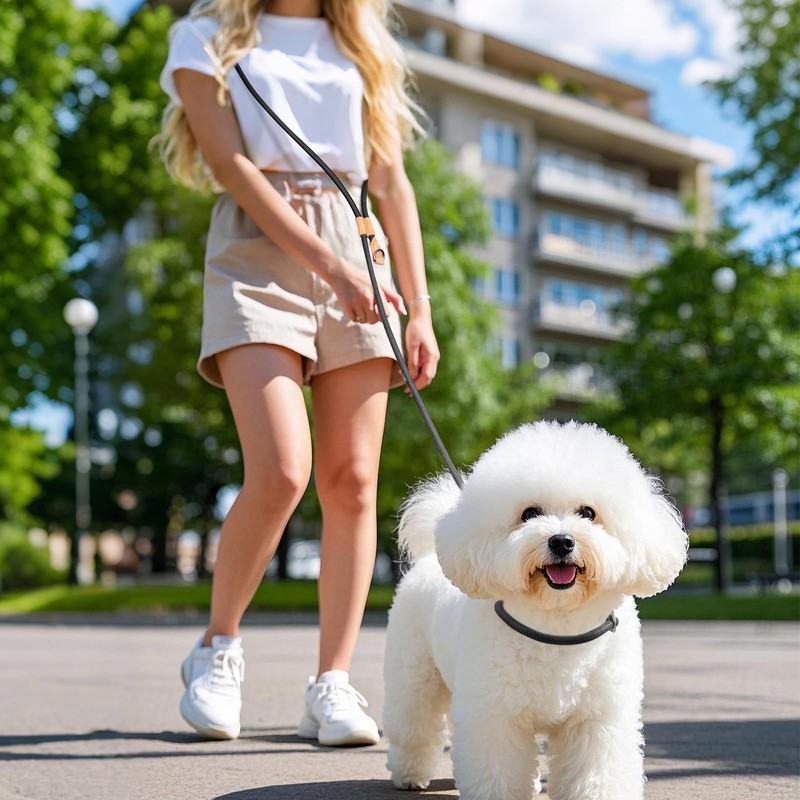 Wolfone Slip Lead Dog Leash - Heavy Duty Rope Leash