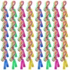 Leyndo 48 Pack Rainbow Jump Rope Set Jumping Ropes Nylon