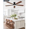 Fanbulous 60 inch Ceiling Fans with Lights, Smart Flush Mount