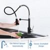 DJS Kitchen Faucets with Pull Down Sprayer Matte Black &