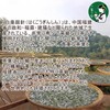 White Tea (White Tea) Chinese Tea Bag, Early Spring 2025,
