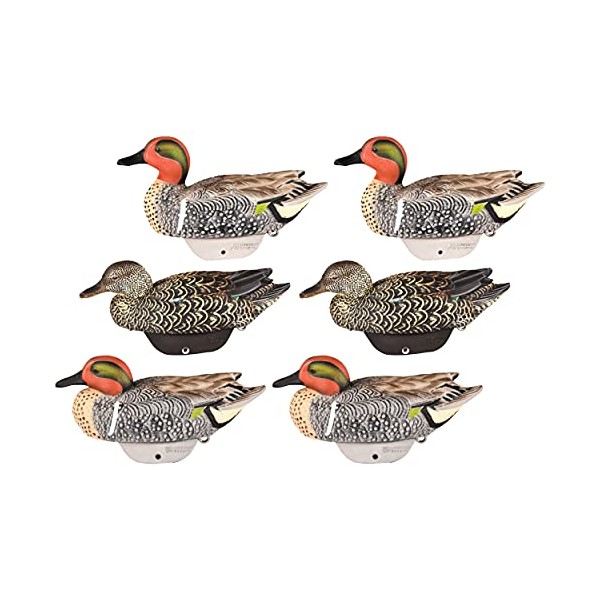 Lifetime Decoys Flexfloat Green Winged Teal
