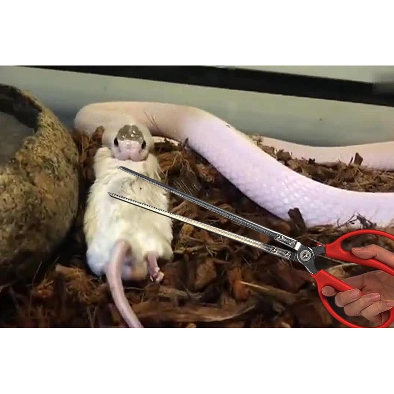 WOLEDOE Snake Feeding Tongs, Ball Python Tank Accessories Supplies fit