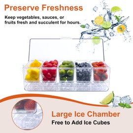 FHJP Ice Chilled Condiment Caddy with 5 Containers, Condiment Server with Lid, Chilled Caddy Dispenser, Serving Tray Platter with Removable Dishes for Bar Accessories, Fruit, Salad,Taco, Party Garnish
