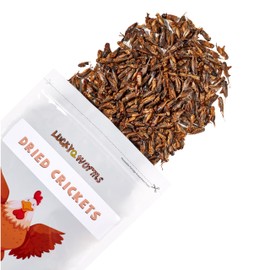 LuckyQworms Dried Crickets 1 lb for Chickens, Wild Birds, Hedgehogs, Reptiles, Lizards, Bearded Dragons, Fish, Turtles - High Protein Natural Insect Food Resealable Bag