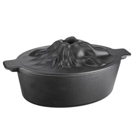 Upgraded Wood Stove Steamer, Wood Stove Humidifier Cast Iron with Porcelain, Fireplace Steamer Pot with Handle (Black)