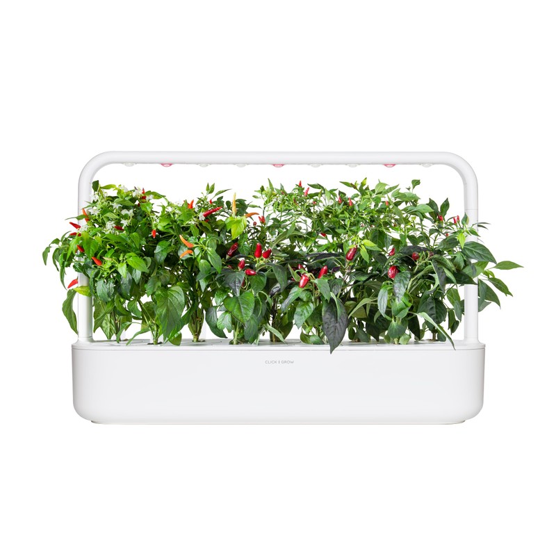 Click and Grow Smart Chili Pepper Plant Pod Mix, 9-Pack