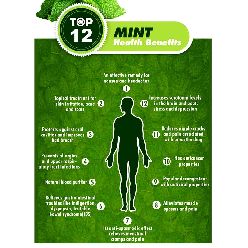 PROUDLY CANADIAN | Mint Leaves |100% Natural | 100g