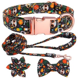 Hilkycton Dog Collar and Leash Set with Flower Bow Tie Girls Dog Collar Metal Buckle Adjustable for Small Medium Large Dogs Skull Skeleton-M