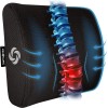 SAMSONITE Lumbar Support Pillow–Memory Foam Cushion for Office Chair &