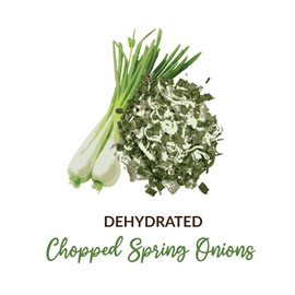 SHROOTS Dehydrated Chopped Spring Onion Flakes Pure Vegetarian No Added Salt Easy Cooking Essential - 0.71 oz, Pack of 1