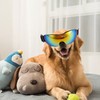 Dog Goggles Wind Sand UV Protection Eye Protection Adjustable Dog