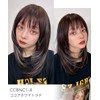 AQUADOLL wg352MBK Medium Semi-Long Layered Inner Mesh Full Wig, One