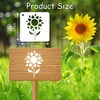 60 Reusable Flower Stencils for Painting on Wood and Canvas
