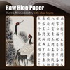 Flewdart 100 pieces rice paper A4 (297 x 210 mm)