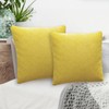 Betadistor Orange Cushion Covers 18x18Inch 2-Pack: Soft Decorative Throw Pillow