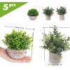Lemonfilter Set Of 5 Mini Potted Artificial Plants Fake Small