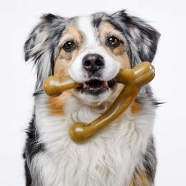 Pet Qwerks Wish BarkBone, Real Bacon Flavor - Nylon Chew Toy for Aggressive Chewers, Tough Durable Extreme Power Chewer Bone | Made in USA - S for Small Dogs & Puppies, Brown (WBB3)