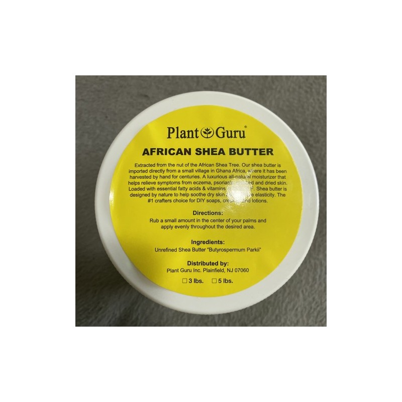 200 Moringa Oleifera Seeds 2 oz. WINGLESS Fresh Organic Semillas