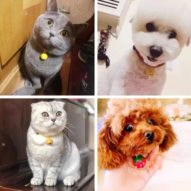 Cat Collar, Bell, Cat Collar, Includes Yellow Bell, Cute, Adjustable