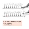 Ready-to-Use Eyelash Extensions, 3D, 4D, 5D, 6D, Pre-Faned Volume Eyelash