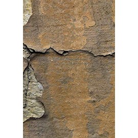 Happy Birthday Book: Happy Birthday Gifts Lined Journal Notebook (719) | Journal For Women, Friend Coworker Birthday Gifts | Funny Gag Gift | Funny ... | Romantic Gift for Girlfriend/Boyfriend