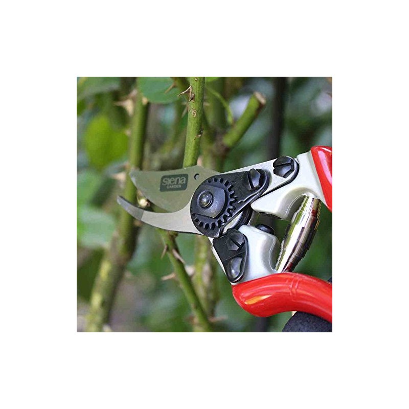 Siena Garden 691526 Premium Bypass Pruning Sheers 6 KS