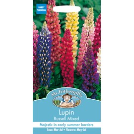 Mr Fothergill's 11554 Flower Seeds, Lupin Russell Mixed