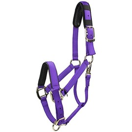 Shires Topaz Nylon Pony/Horse Headcollar - Purple Cob