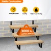 Toriexon Steel Stair Riser-2 Pack, 3 Step Stringers for Deck,