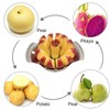 6.9 Inch Stainless Steel Large Apple Slicer,12 Slice Heavy Duty