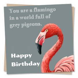 Flamingo Happy Birthday Card - You Are a Flamingo in a World Full of Pigeons - Happy Birthday Grey and Pink Flamingo Design - For Loved One, Relative, Friend, Colleague, Best Friend