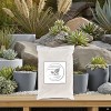 Alchemy Garden 5 lbs. White Garden Sand Soil Cover, Multi-Purpose,
