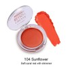 PHOERA Makeup Face Cheek Blush Cream Matte Blusher Super blend-able