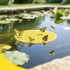 5 Pack Floating Bee Islands, Foam Bee Watering Stations &
