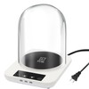 Sourdough Starter Warmer with Glass Dome, Precise 1°F Thermostat Control