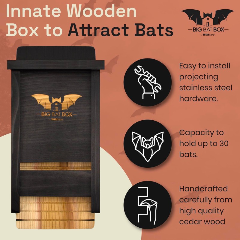 The Complete Bat House for Outdoors - Clean Your Backyard
